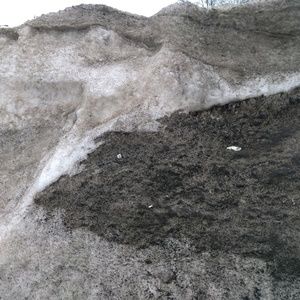 Meet your Posher, Richards